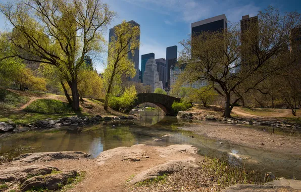 Картинка небо, деревья, мост, дома, весна, Нью-Йорк, США, центральный парк