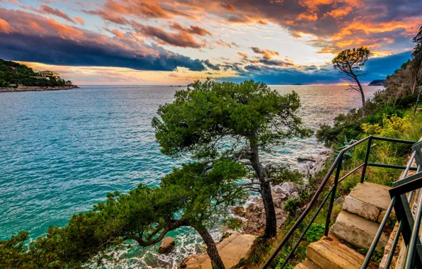 Море, деревья, пейзаж, природа, лестница, Хорватия, Дубровник