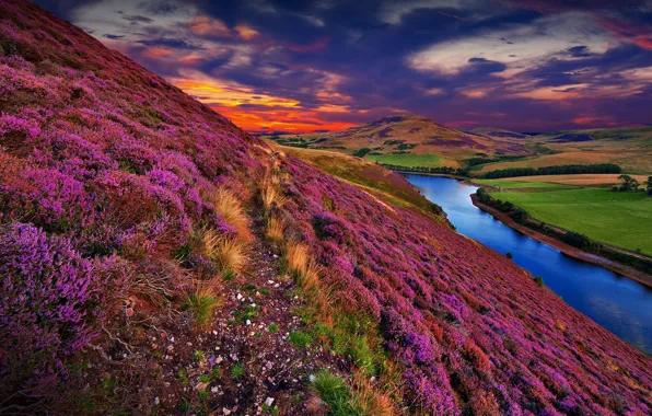 Colorful, river, sky, trees, landscape, nature, sunset, flowers