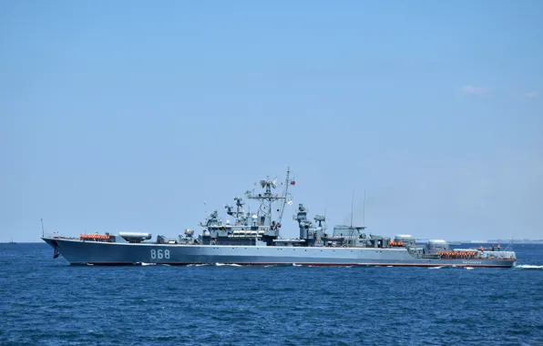 Корабль, сторожевой, пытливый