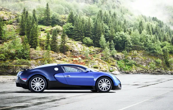 Supercar, Bugatti Veyron, бугатти, автообои, вейрон