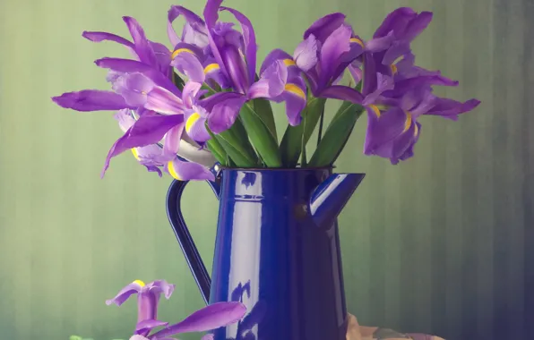 Цветы, букет, кувшин, ирисы