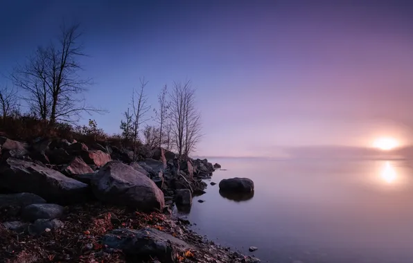 Природа, озеро, утро