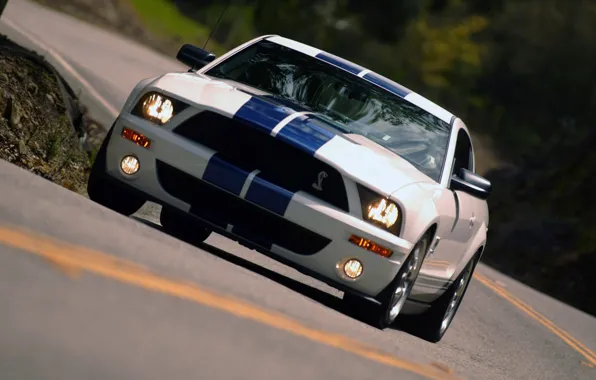 Shelby, GT500, Cobra