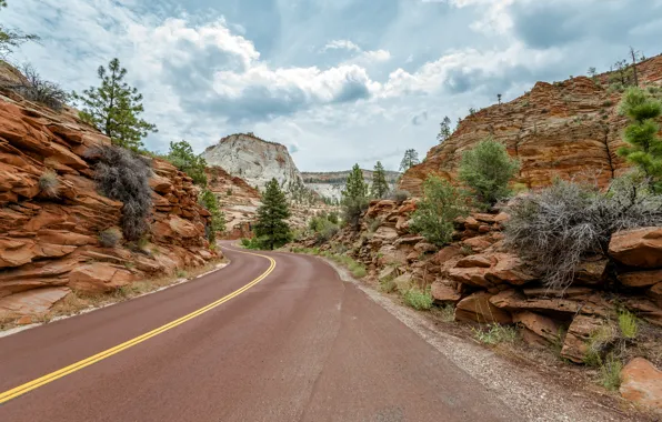 Road, cloud, park, mountain, tree, usa, national, utah