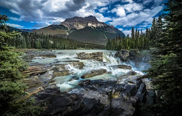 Картинка лес, горы, река, водопад, Канада, Альберта, Alberta, Canada