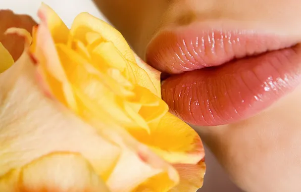 Девушка, цветы, поцелуй, губы, желтая роза