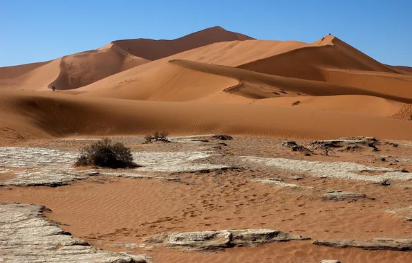 Картинка песок, пустыня, бархан, Африка, Намибия