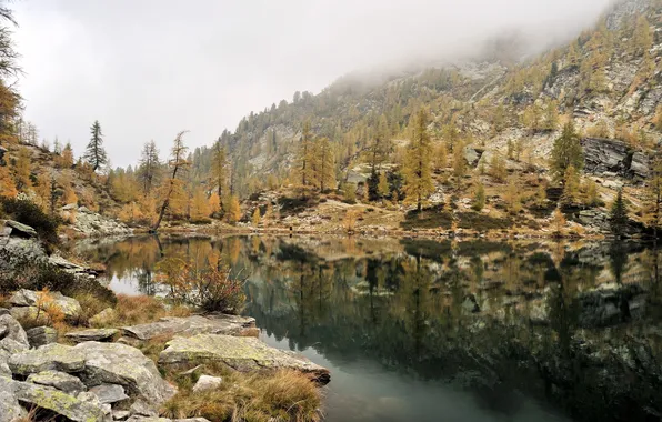 Горы, туман, озеро