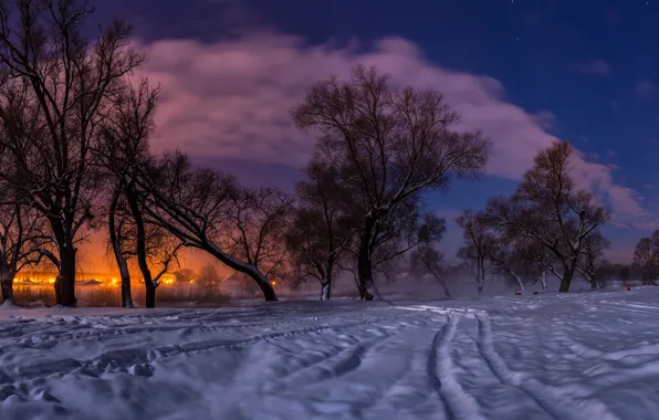 Зима, снег, деревья, пейзаж, закат, природа, огни, вечер