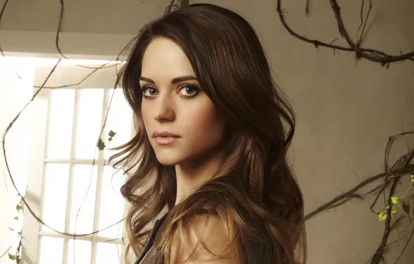 Взгляд, девушка, волосы, окно, красивая, Lyndsy Fonseca