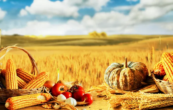 Картинка кукуруза, тыква, натюрморт