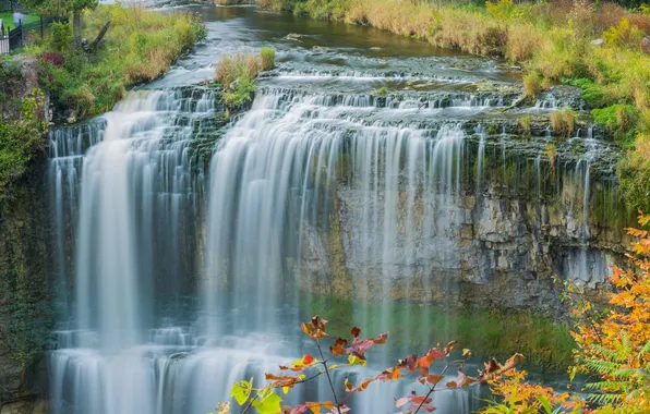 Осень, ветки, природа, река, обрыв, скалы, листва, водопад