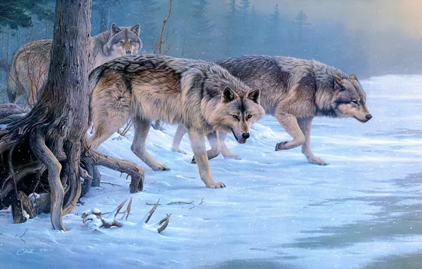 Зима, лес, снег, стая, картина, арт, волки, живопись