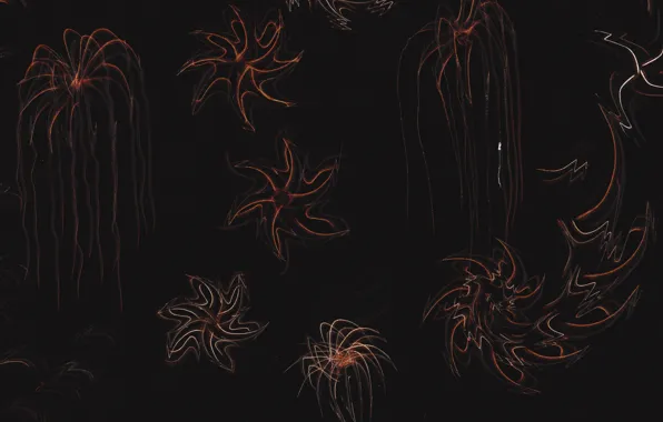 Картинка медузы, морские звёзды, ежи, Денис Сухоносов, Живое исполнение лезвием на фотобумаге