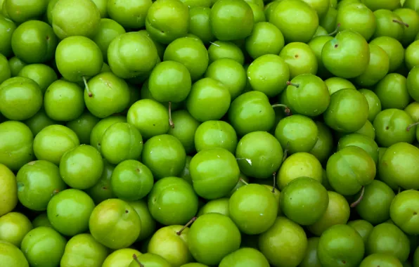 Green, fruit, many