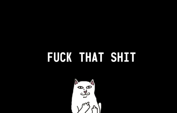 Fuck, black, cat
