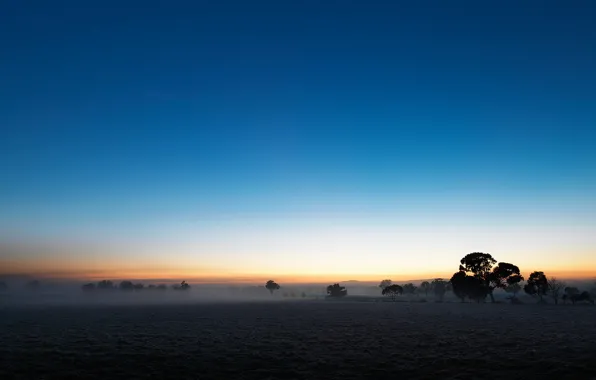 Картинка поле, небо, туман, равнина, сумерки