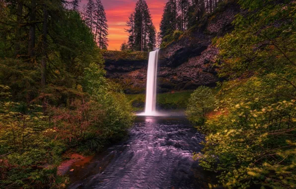 Деревья, закат, природа, водопад, Орегон, США, государственный парк Сильвер-Фоллс