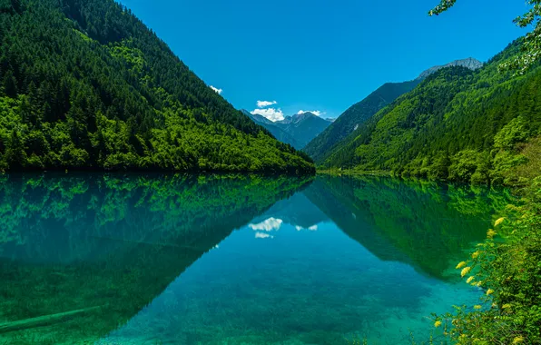 Лес, пейзаж, природа, озеро