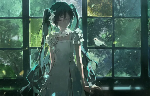 Птичка, бантики, vocaloid, Hatsune Miku, белое платье, вокалоид, у окна, Хатсуне Мику