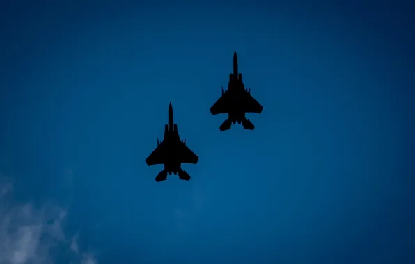 ВВС США, американский двухместный истребитель-бомбардировщик, McDonnell Douglas F-15E Strike Eagle