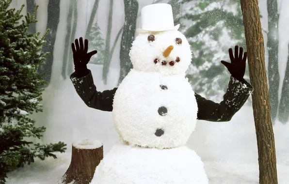 Картинка зима, снег, человек, руки, снеговик