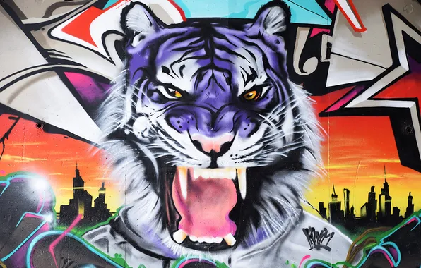 Цвета, тигр, стена, граффити, Graffiti