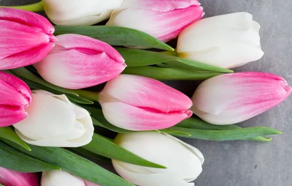 Картинка цветы, букет, тюльпаны, розовые, white, белые, fresh, pink