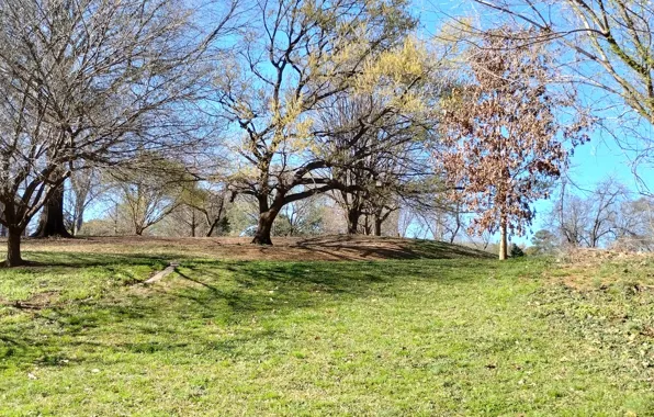 Parks, Raleigh, Fred Fletcher Park