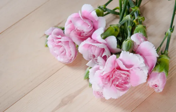 Картинка цветы, розовые, бутоны, wood, pink, flowers, гвоздики