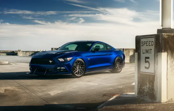 Car, Ford Mustang, blue, hq wallpaper, William Stern