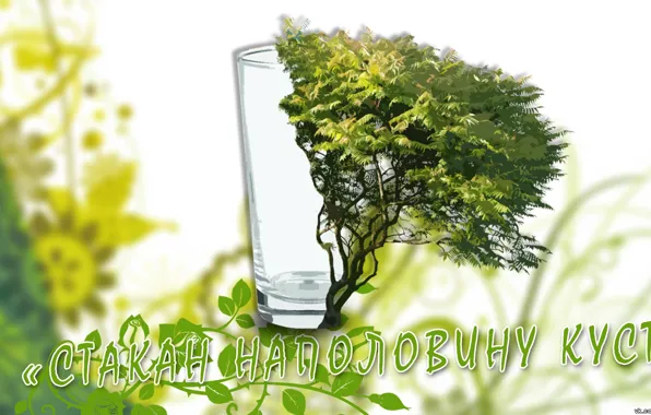 Стакан, куст, юмор, Минимализм, интересное, пословица