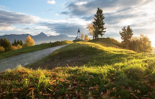 Картинка дорога, осень, трава, листья, пейзаж, горы, природа, холмы