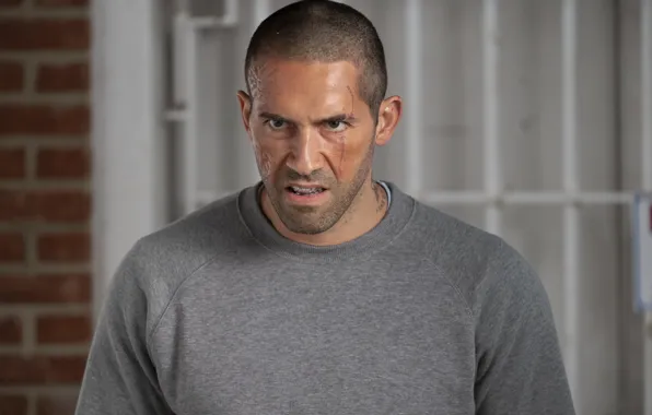 Взгляд, Скотт Эдкинс, Scott Adkins, Кейн Бёрджесс, Отмщение, Avengement