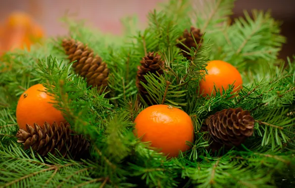 Украшения, Новый Год, Рождество, Christmas, wood, fruit, New Year, мандарины