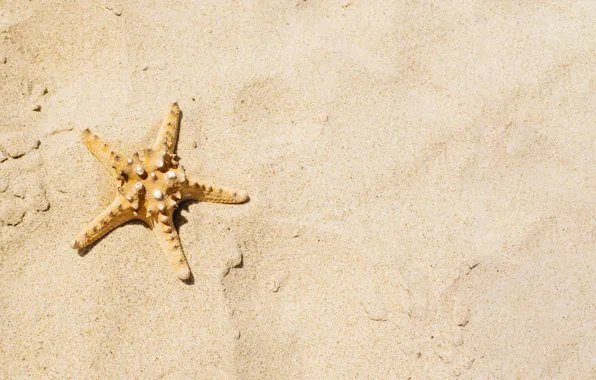 Песок, море, пляж, звезда, summer, beach, sea, морская