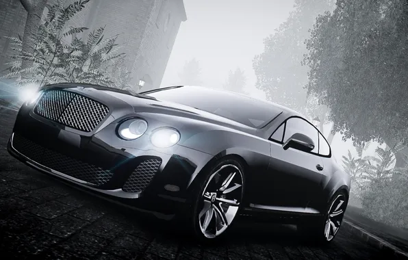 Машина, туман, ч/б, GTA 4, Bentley Continental