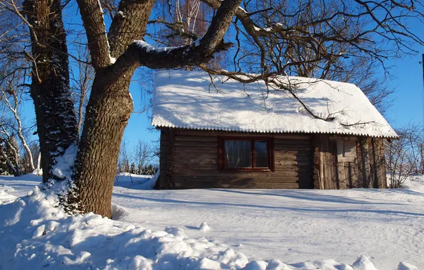 Картинка зима, небо, снег, дерево, склон, домик