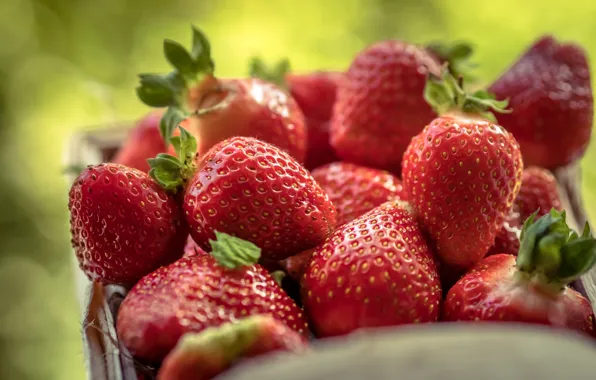 Картинка лето, ягоды, коробка, еда, размытие, урожай, клубника, много