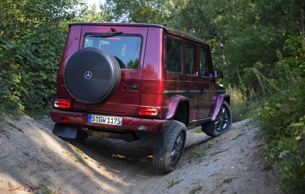 Картинка Mercedes-Benz, внедорожник, вид сзади, G500, G-Class, 2015, G 500, V8 Biturbo