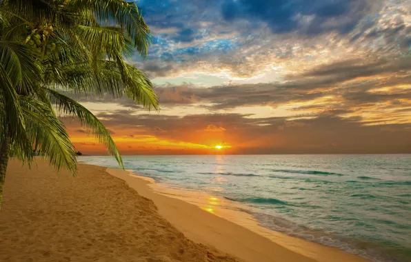 Картинка песок, море, пляж, закат, пальмы, берег, beach, sea
