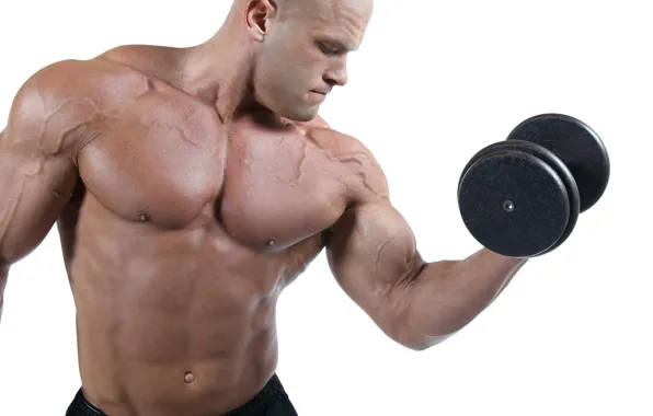 Поза, muscle, мышцы, тренировка, атлет, бицепс, бодибилдер, training