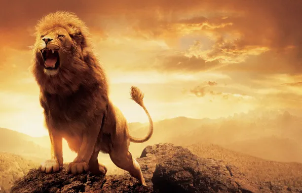 Лев, Lion, Хроники Нарнии, Аслан, The Chronicles of Narnia, Aslan