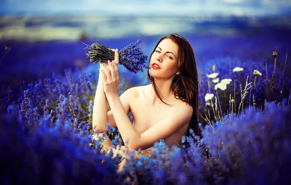Girl, Purple, Flowers, View, Lavender, Nude, Portait