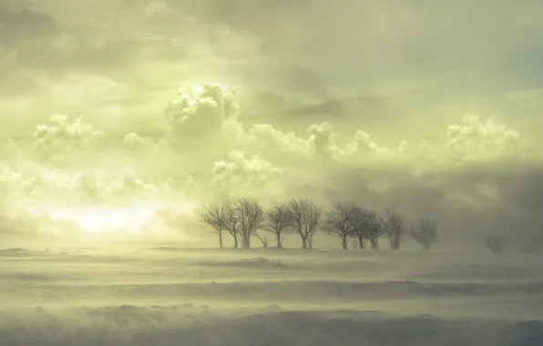 Облака, снег, Деревья
