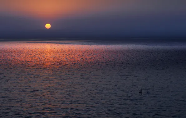 Картинка море, солнце, остров, утро, Кипр, Κύπρος, средиземное