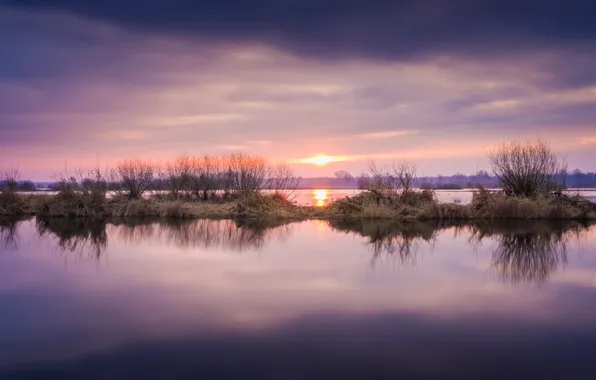 Небо, солнце, облака, закат, ветки, отражение, берег, водоем