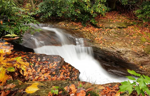 Картинка осень, листья, вода, водопад, поток, water, autumn, leaves