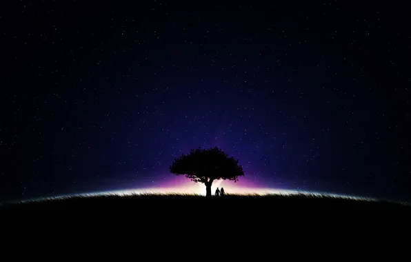 Небо, звезды, ночь, дерево